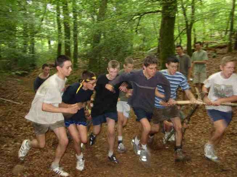 Course de chars